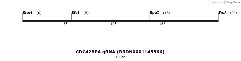 143206_map