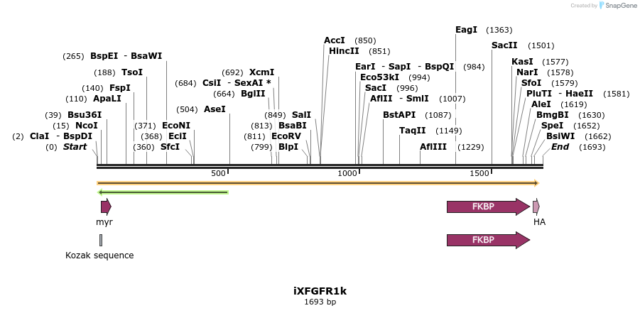 14323_map