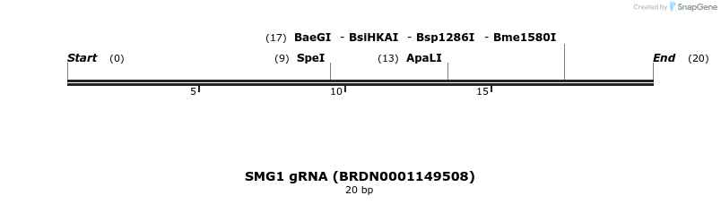 143232_map