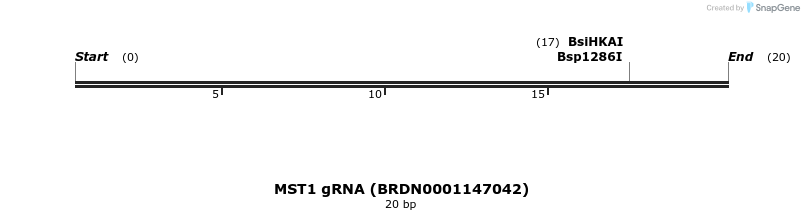 143237_map