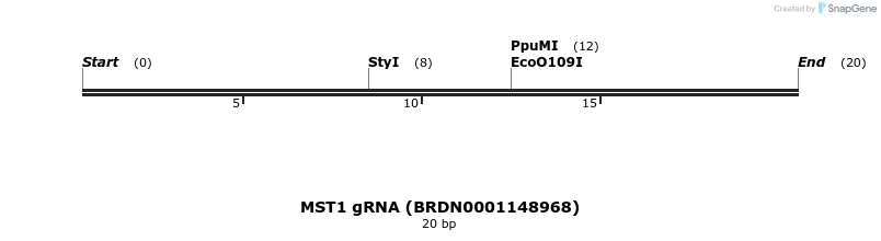 143238_map