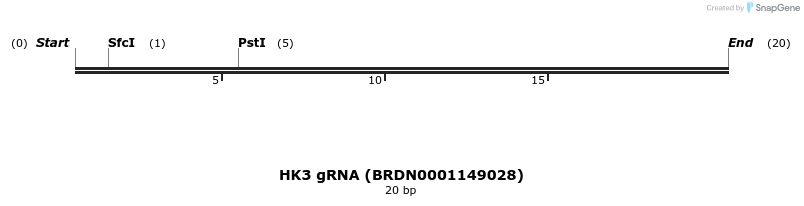 143241_map