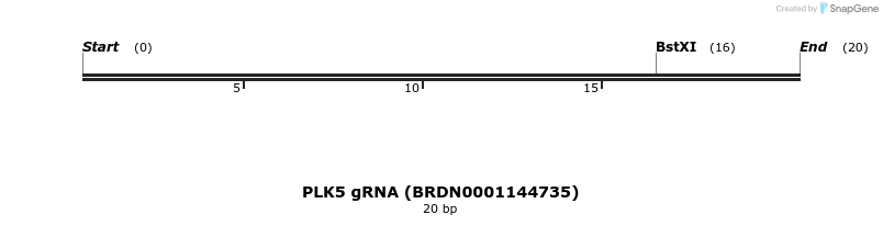 143247_map