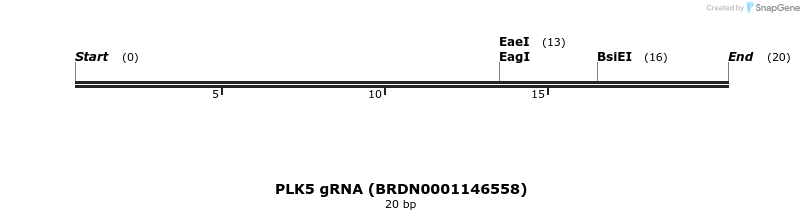 143249_map