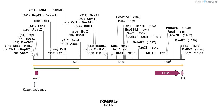 14325_map