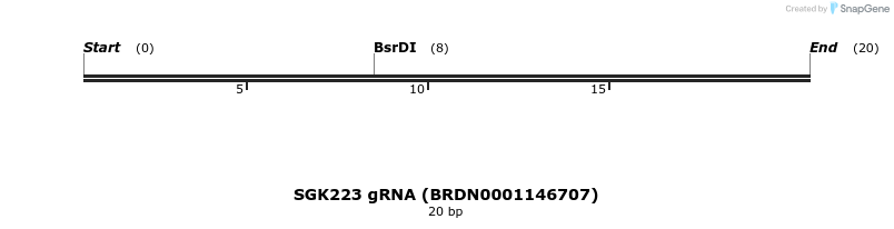 143251_map