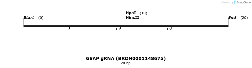 143256_map