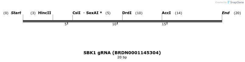 143257_map