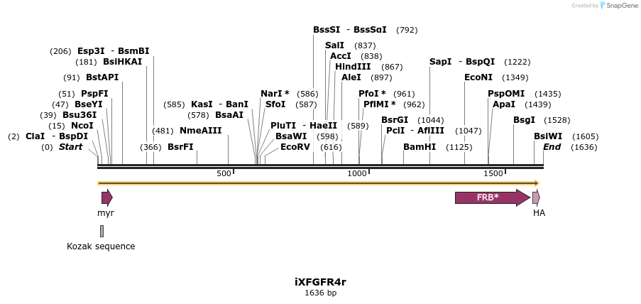 14326_map