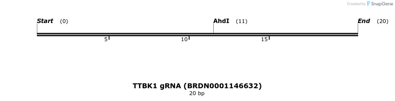 143262_map