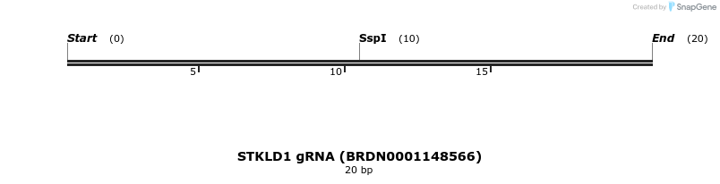 143272_map