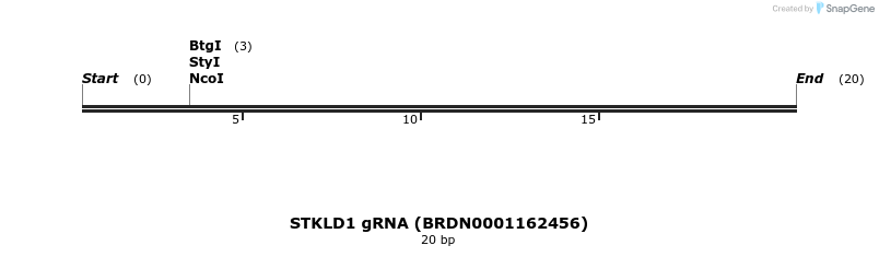 143273_map