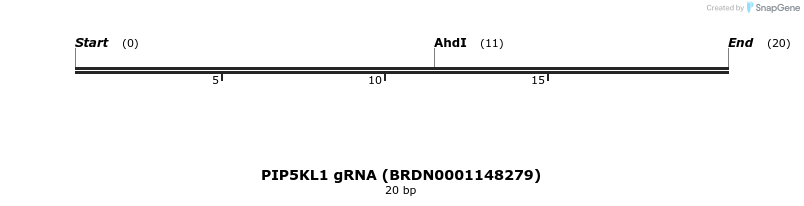 143284_map