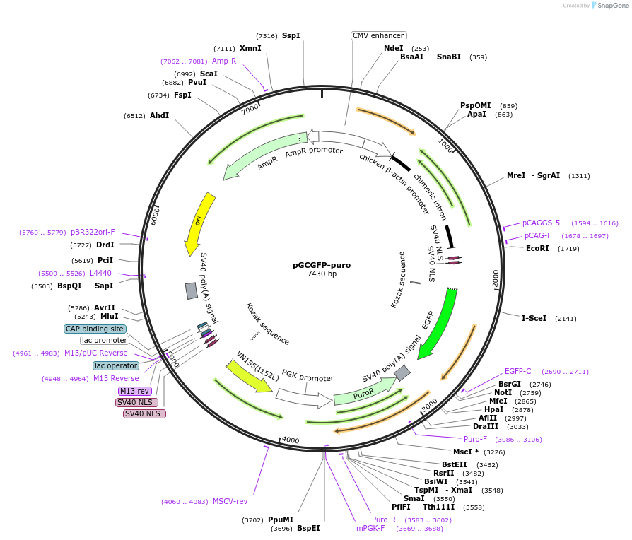14329_map