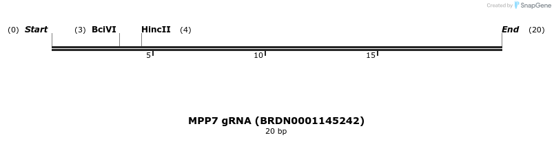 143292_map