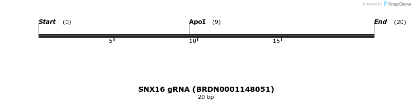 143297_map