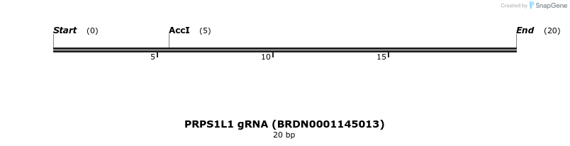 143298_map