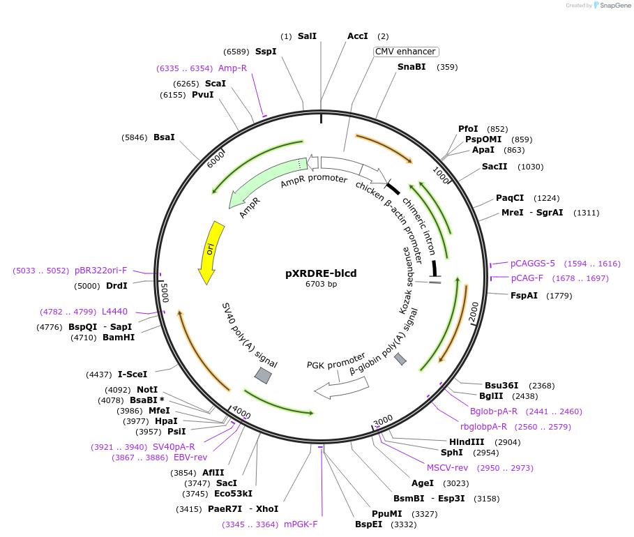 14330_map
