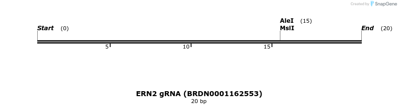 143307_map