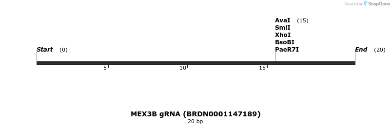 143316_map