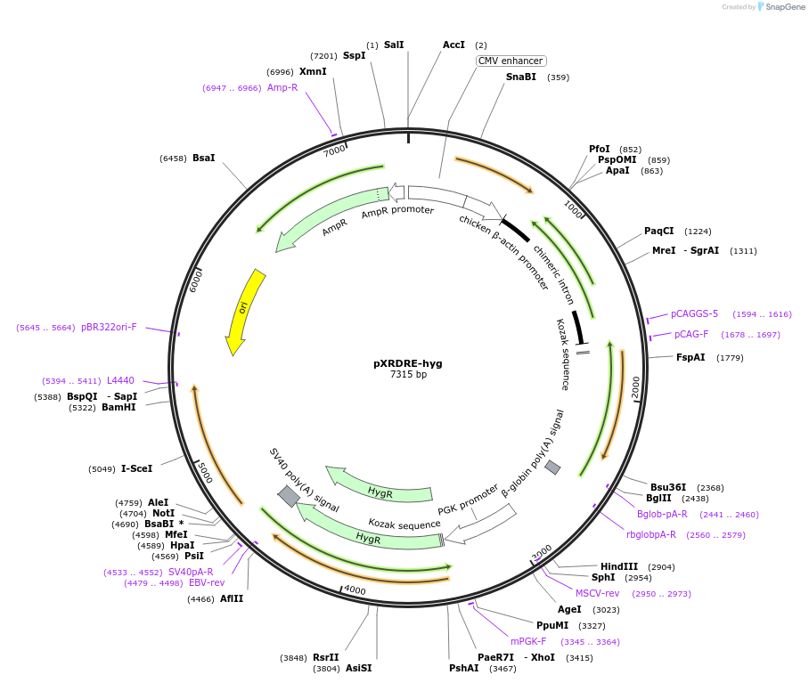 14332_map