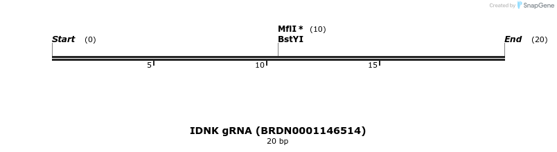 143325_map