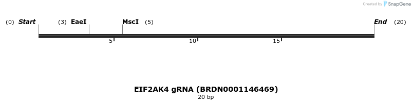 143336_map