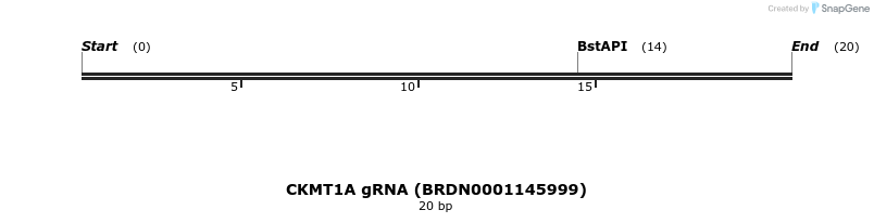 143338_map
