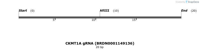 143339_map