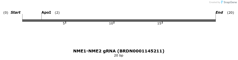 143345_map