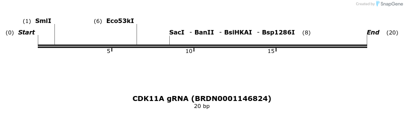 143350_map