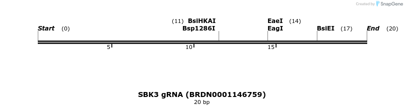 143359_map