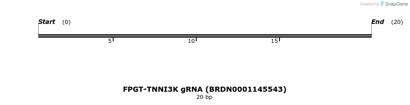 143362_map