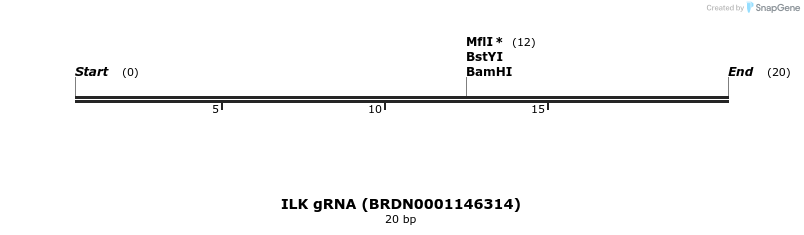 143370_map