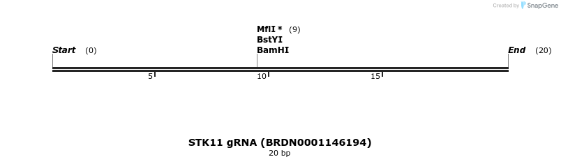 143373_map