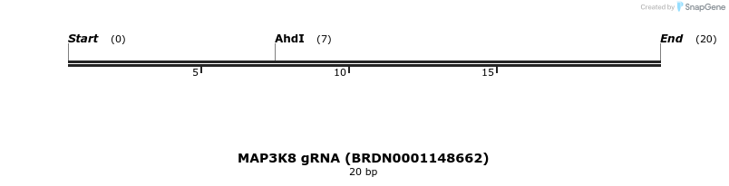 143382_map