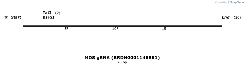 143391_map