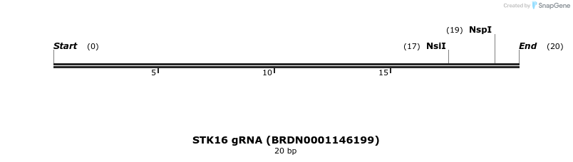 143394_map
