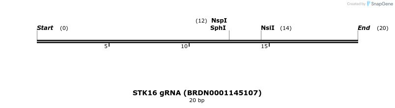 143395_map