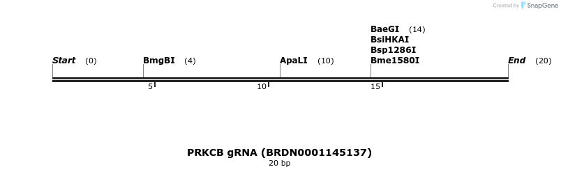 143416_map