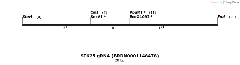 143418_map