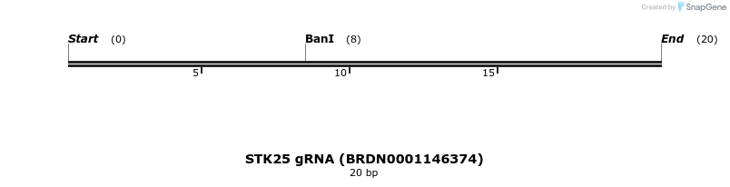 143419_map