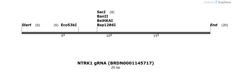 143424_map