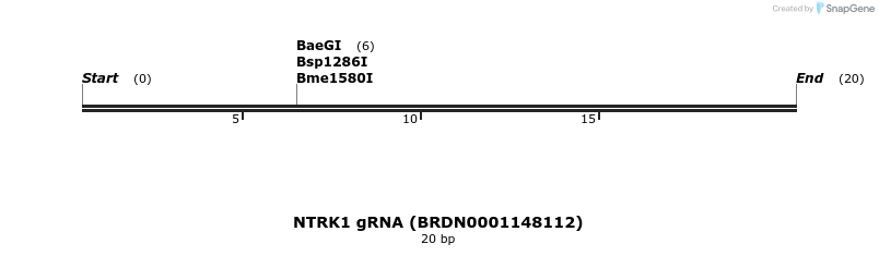 143425_map