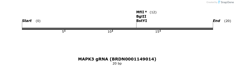 143426_map