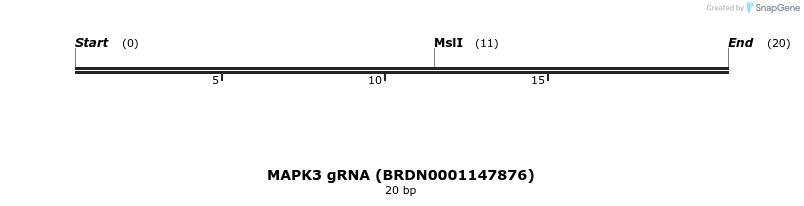 143427_map