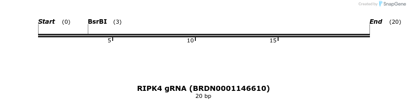 143431_map