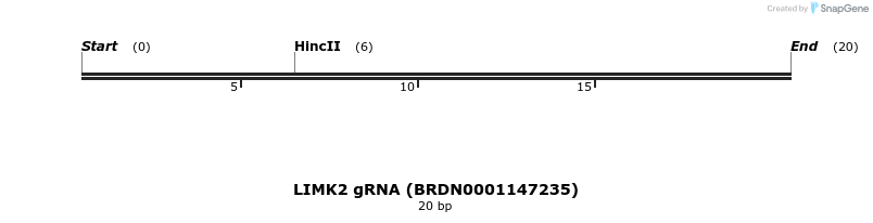 143433_map