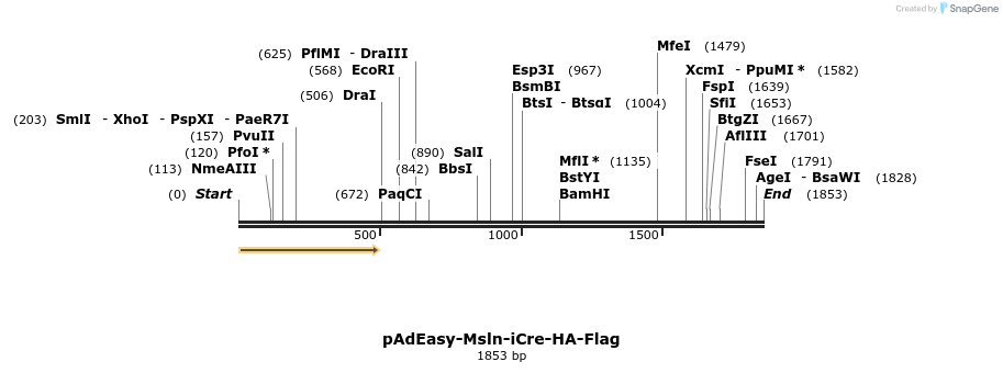 14345_map