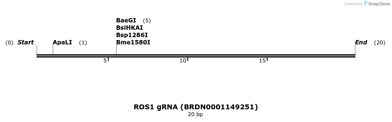 143451_map